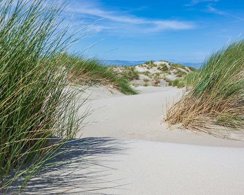 Norderney